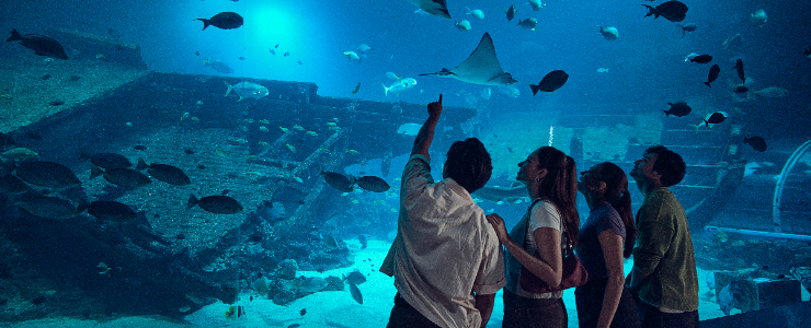 Singapore Oceanarium