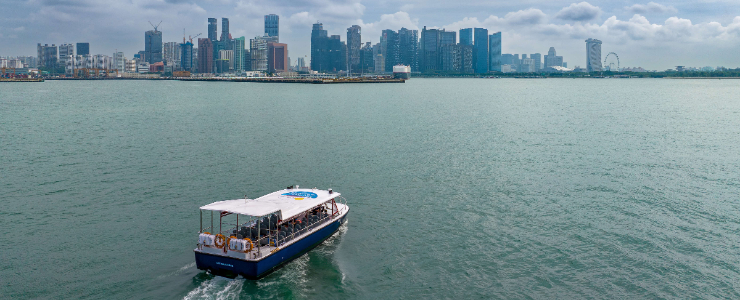 Albatross Speedboat Adventures