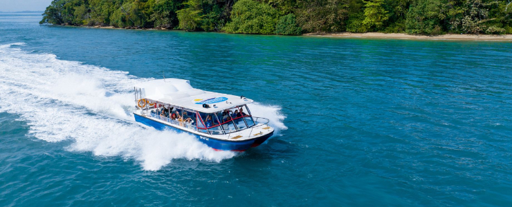 Albatross Speedboat Adventures