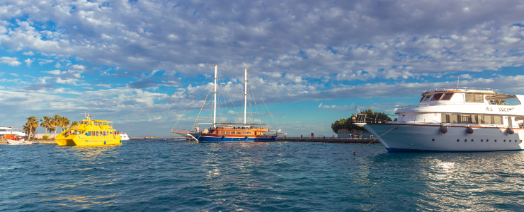 Sailing & Yacht Excursions 