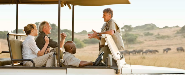 Why Wildlife Travel Is Booming in 2026