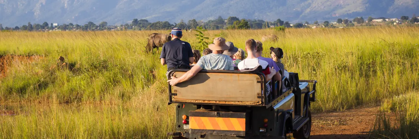 Wildlife & Nature Travel Guide 2026: Best Safaris and Biodiversity