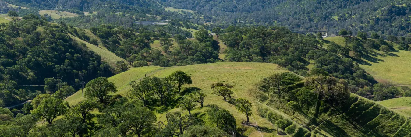 Top Things to Do in Tri-Valley: Complete Travel Guide 2026 