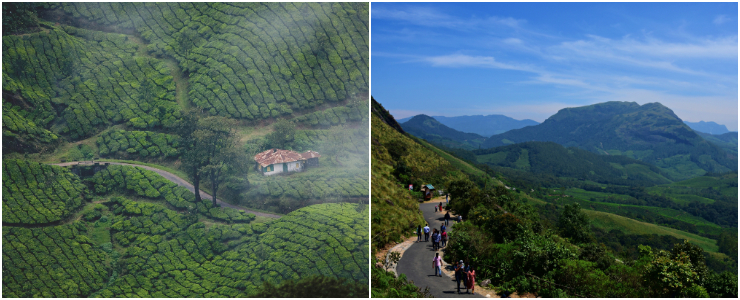Eravikulam National Park
