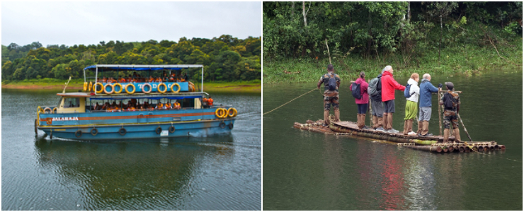 Spot Wildlife And Spice Plantations in Thekkady