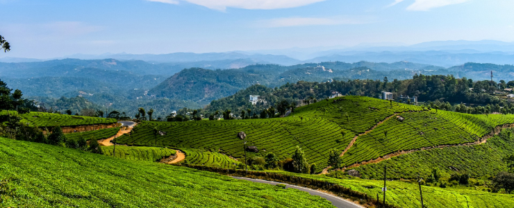 Darjeeling 