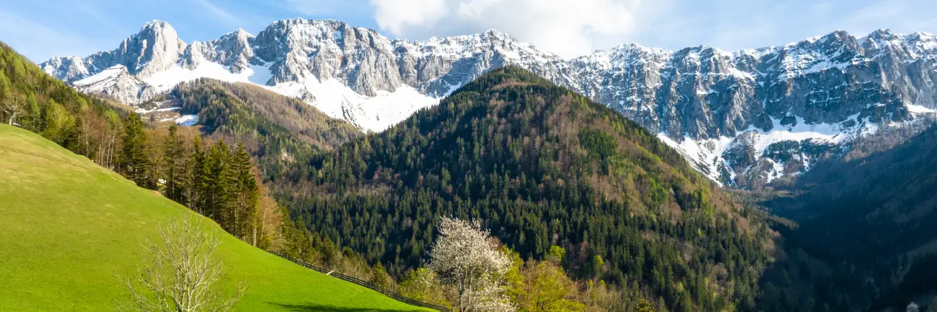 Summer in Carinthia: Austria’s Sunniest Escape for Lakes, Mountains, and Slow Travel Adventures 