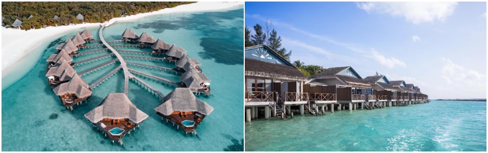 Top Hotels