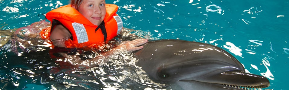 Dubai Dolphinarium