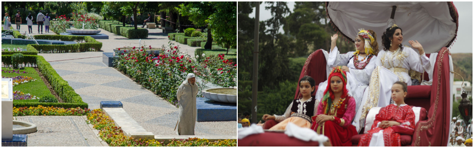 Fez (The Imperial Pearl)