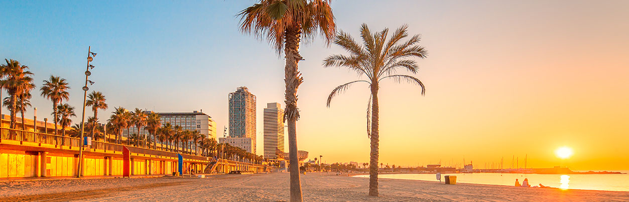 Soak in the Sun at the Barceloneta Beach