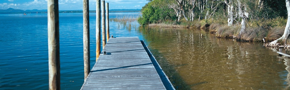 The Discovery Group-Noosa Everglades Cruise