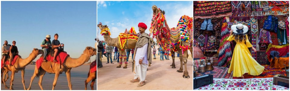 Best Things to do in Rajasthan