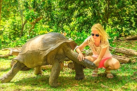 Seychelles Expert