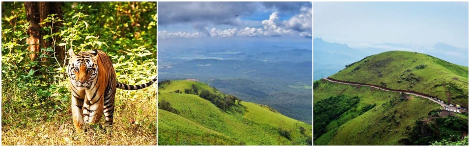 Bandipur National Park, Coorg: The Scotland of India And  Chikmagalur