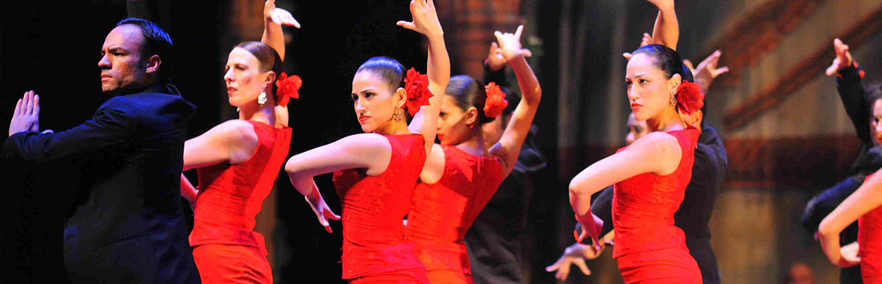 Take Basic Flamenco Classes
