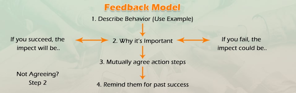 7 Steps to Great Feedback & Feedback Model