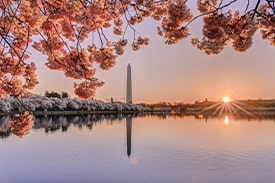 Events Festivals and Performing Arts Washington DC