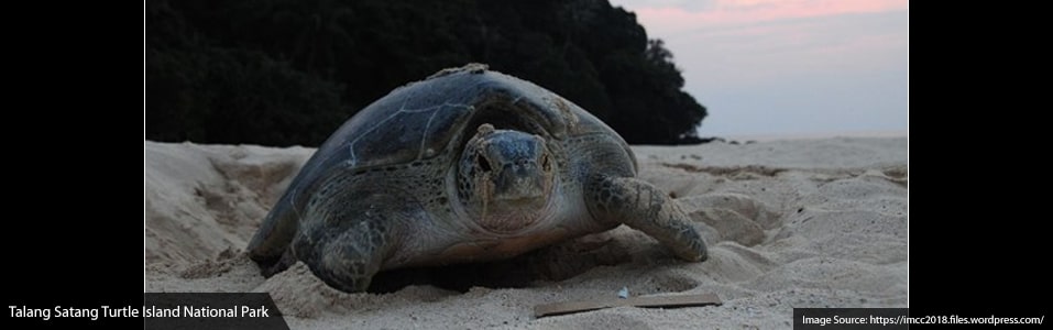 Talang Satang Turtle Island National Park