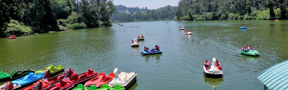 Ooty Lake