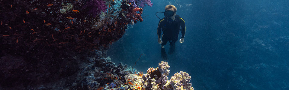 Dive Sites of Arabia