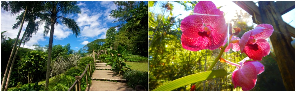 Jardín del Gigante Dormido (Garden of the Sleeping Giant)
