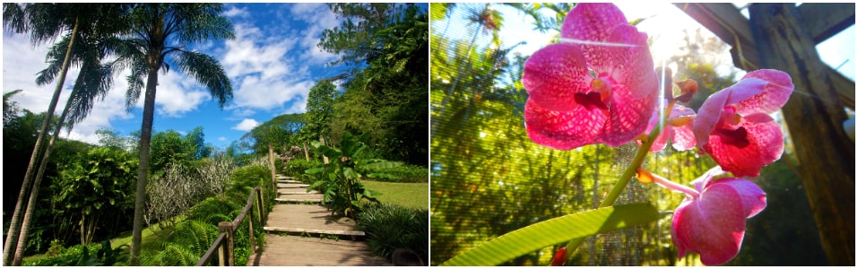 Garden of the Sleeping Giant