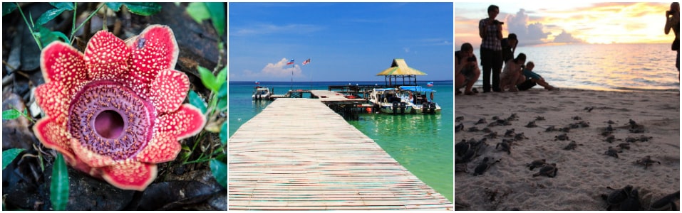 Attractions in Sabah You Should Not Miss Out
