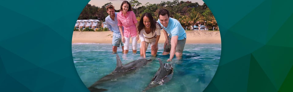 Visit Tangalooma Wild Dolphin Resort