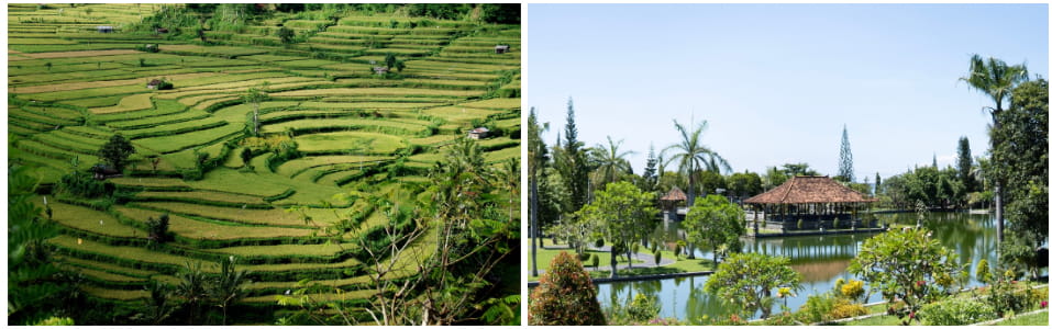 Bukit Jambul, Taman Soekasada Ujung And Monkey Forest, Ubud