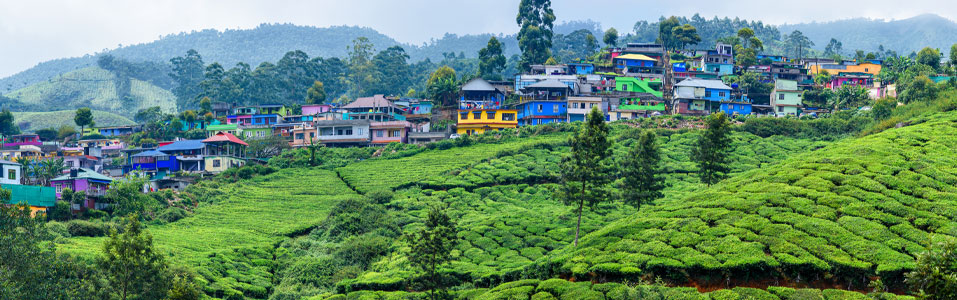 Other Must Visit Places In Kerala That Deserve A Mention Are