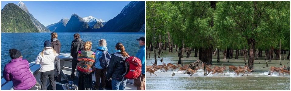 What is Ecotourism?