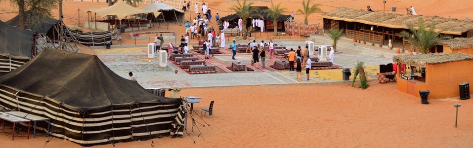 Bedouin Camp Oasis
