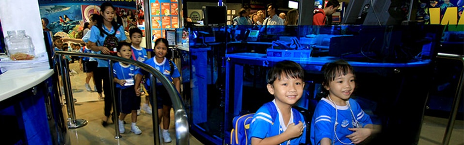 Schools & Groups in Sea Life Bangkok