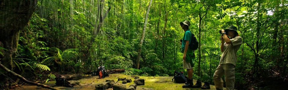 Off Season in Andaman