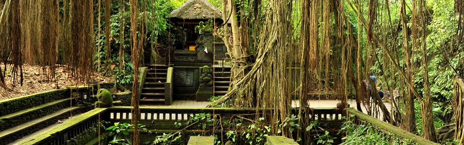 Ubud Monkey Forest