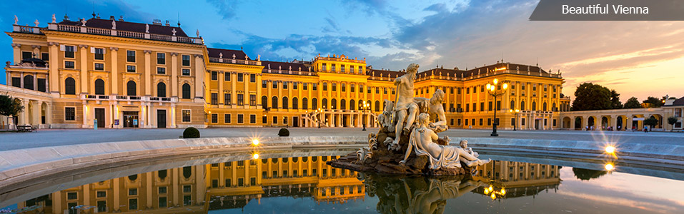 Vienna An Introduction