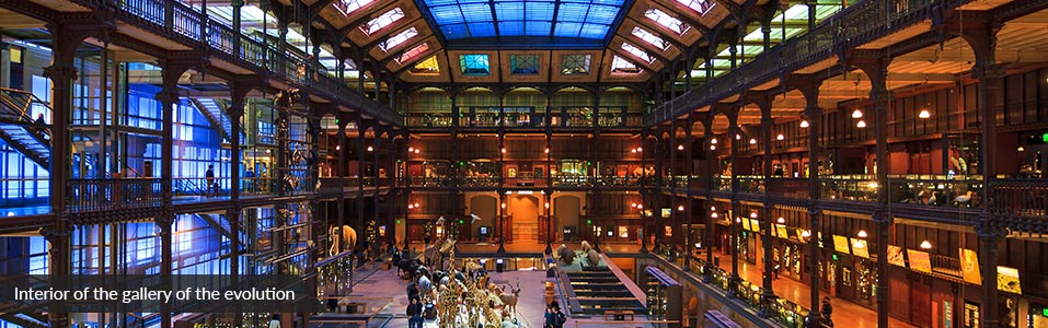 French National Museum of Natural History