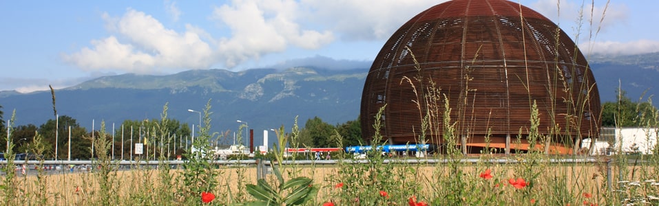 Meyrin Overview