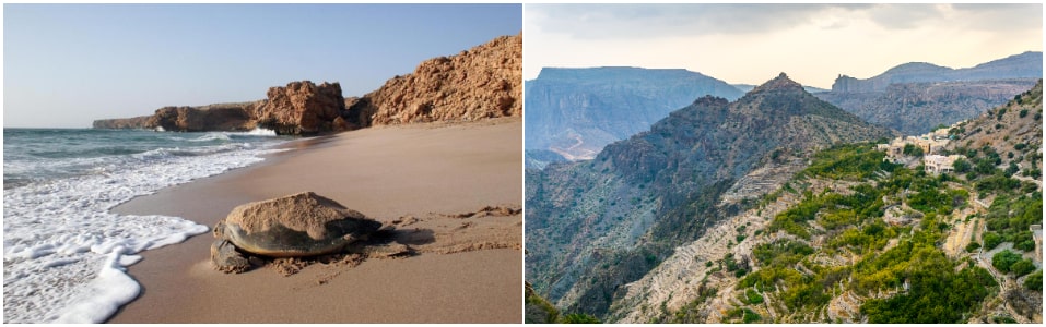 Ras Al Jinz Turtle Reserve And Jebel Akhdar