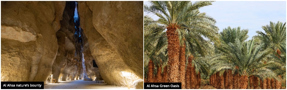 Al Ahsa Oasis