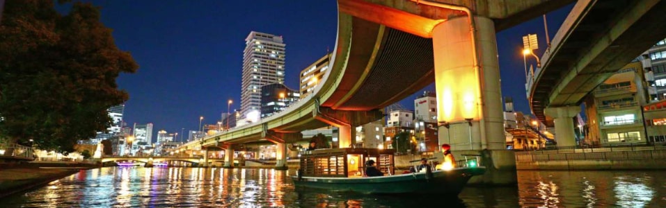 Japan 2025 & Beyond