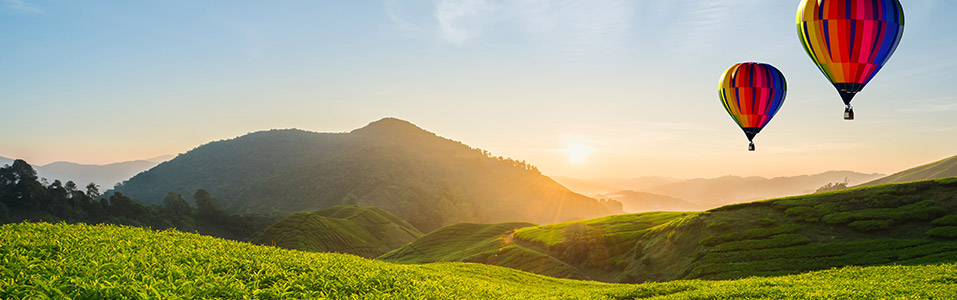 Cameron Highlands Basics