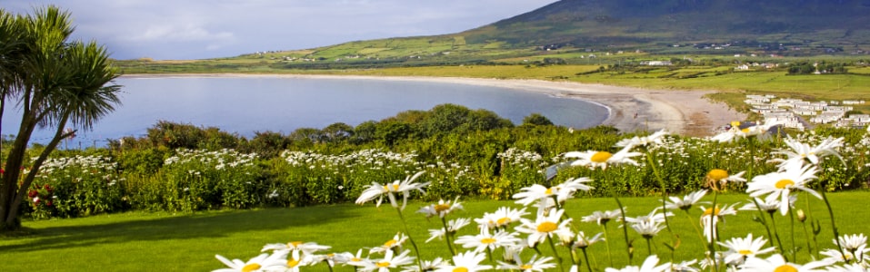 Best Time to Visit Ireland