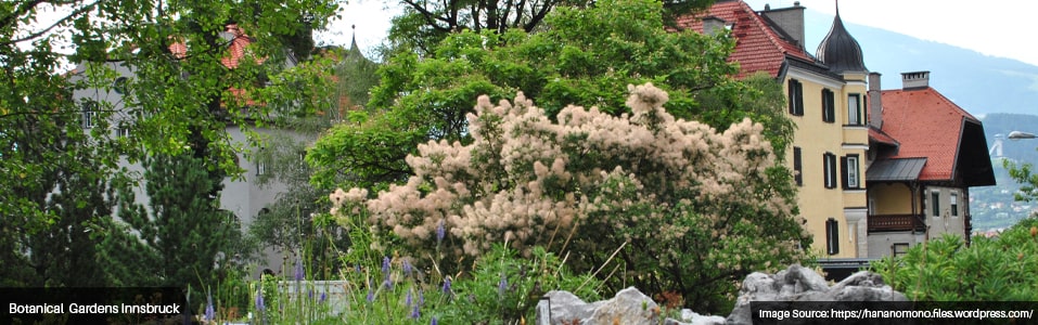 Botanical Gardens: (For Family)