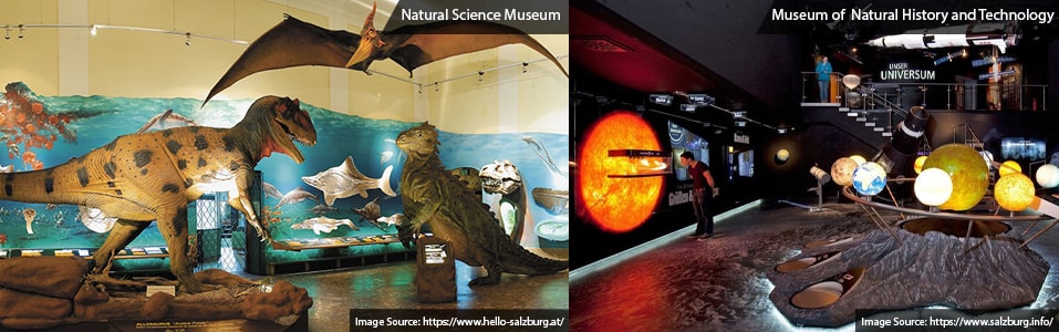 Museum of Natural History and Technology: (For Families)