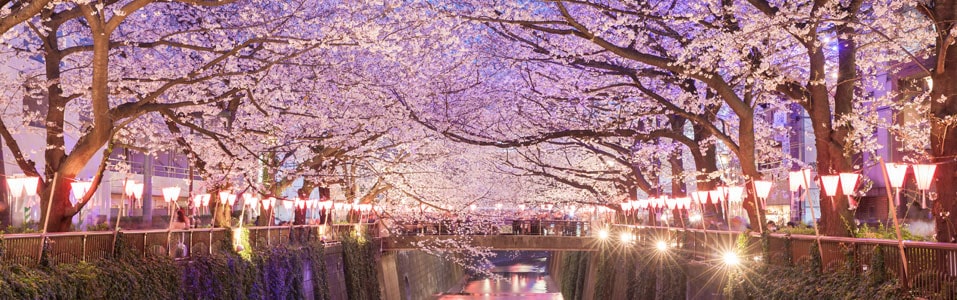 Festivals in Japan