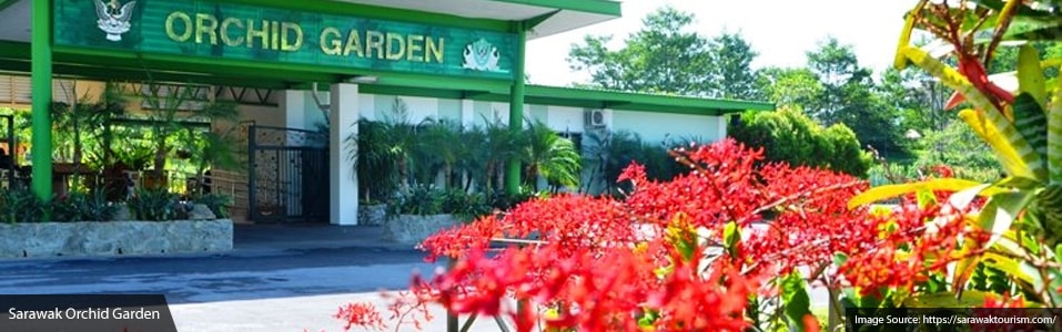 Sarawak Orchid Garden