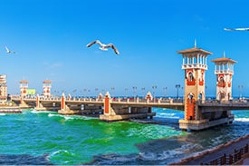 Alexandria