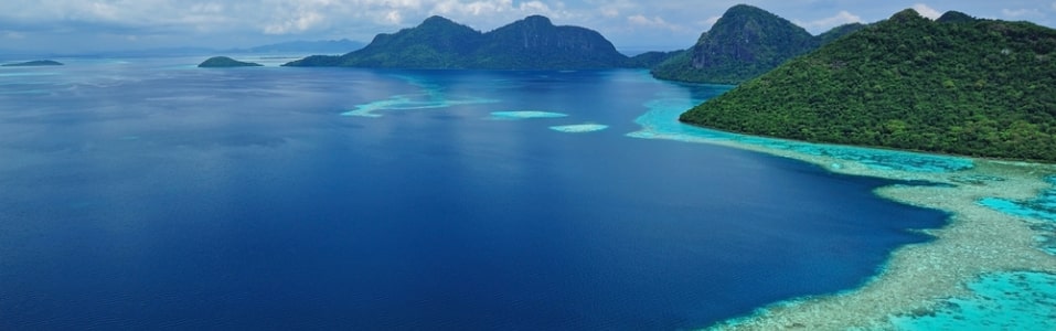 Overview